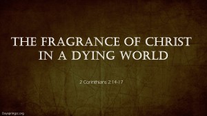 The Fragrance of Christ in a Dying world pic